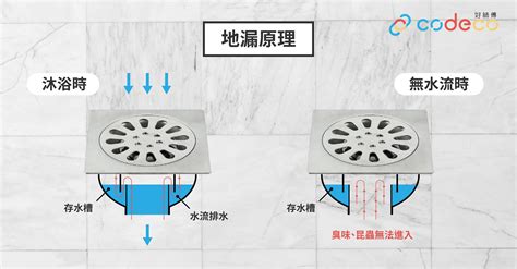 地台去水口|2024 香港地台去水設計推薦，打造理想浴室